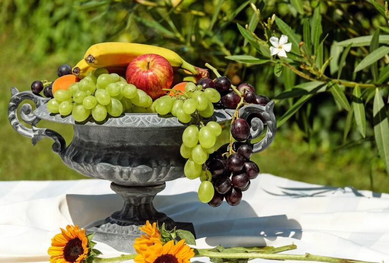 Organic Fruits Tips